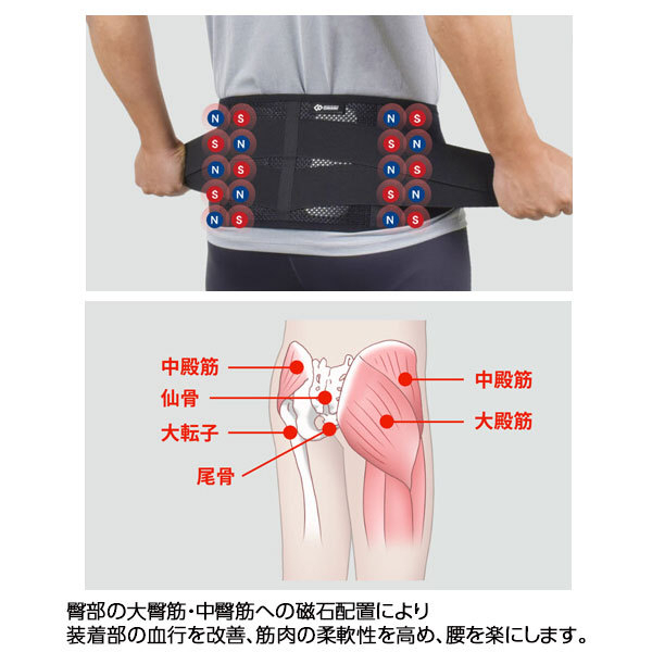 MSGooDs】商品詳細：MAGサポーター 腰 | 当日発送！ - 医療用品